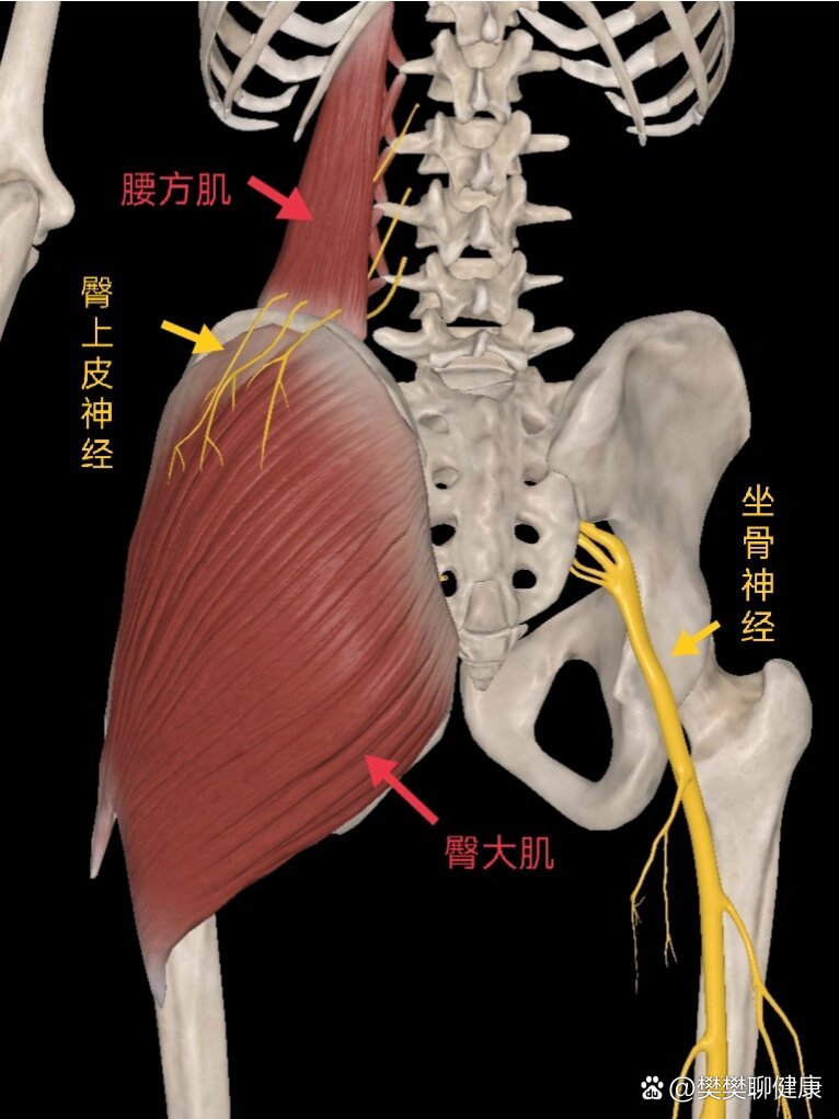 鐵腰板治療儀有沒(méi)有效果? - quot; href="https://www.veer.com/photo/168194845?utm_source=baidu&utm_medium=imagesearch&chid=902